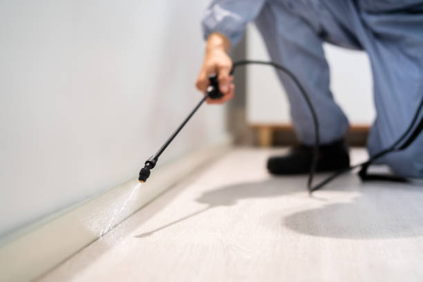 Licensed Wasp Removal service in Wilmington Manor, DE - Show Me Pest Control