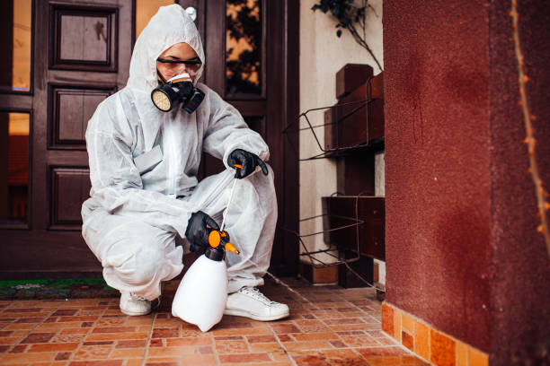 Reliable Wasp Removal contractor in Wilmington Manor, DE by Show Me Pest Control